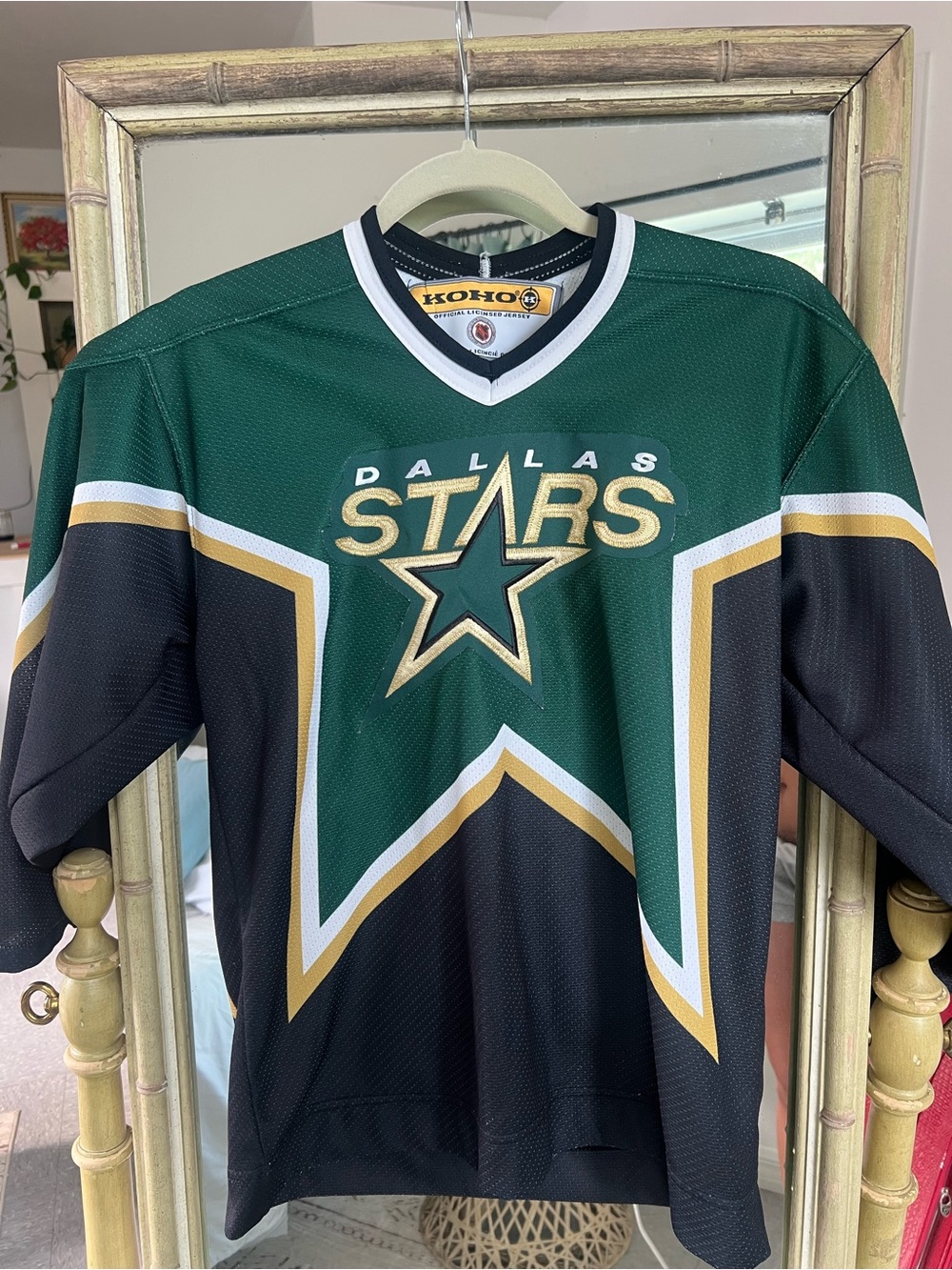Vintage Dallas Stars Hockey Jersey ⭐️